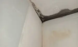 Angolo di una stanza con muffa e macchie d'acqua sul soffitto e sulla parete, un problema comune quando si cerca di come isolare una parete interna esposta a nord.