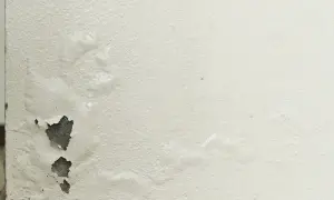 Rigonfiamento muro interno con intonaco scrostato e aree umide visibili.