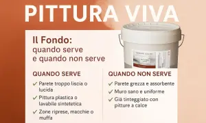 Secchio di pittura "Pittura Viva" con indicazioni su quando usare il fondo, utile per pareti lisce o con muffa, ma non per pitture a calce.