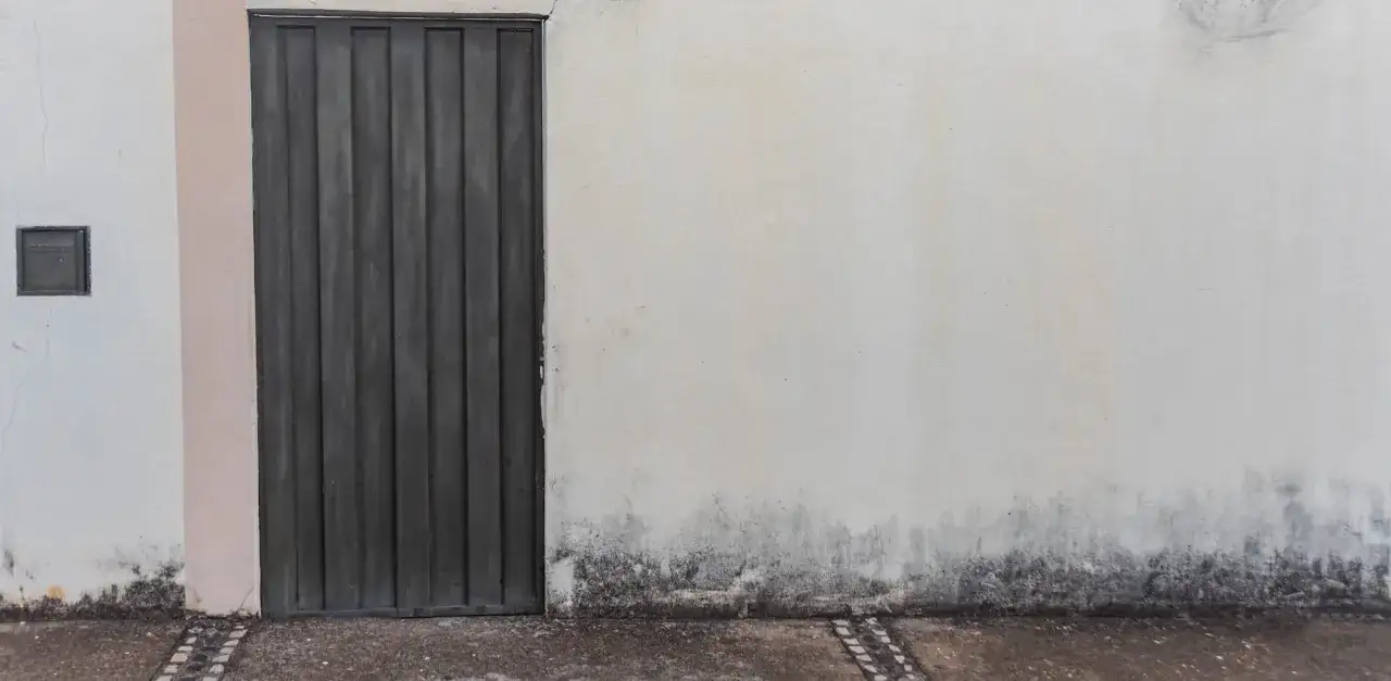 Un muro esterno che si sbriciola mostra segni del tempo, con una porta metallica scura e macchie scure alla base.