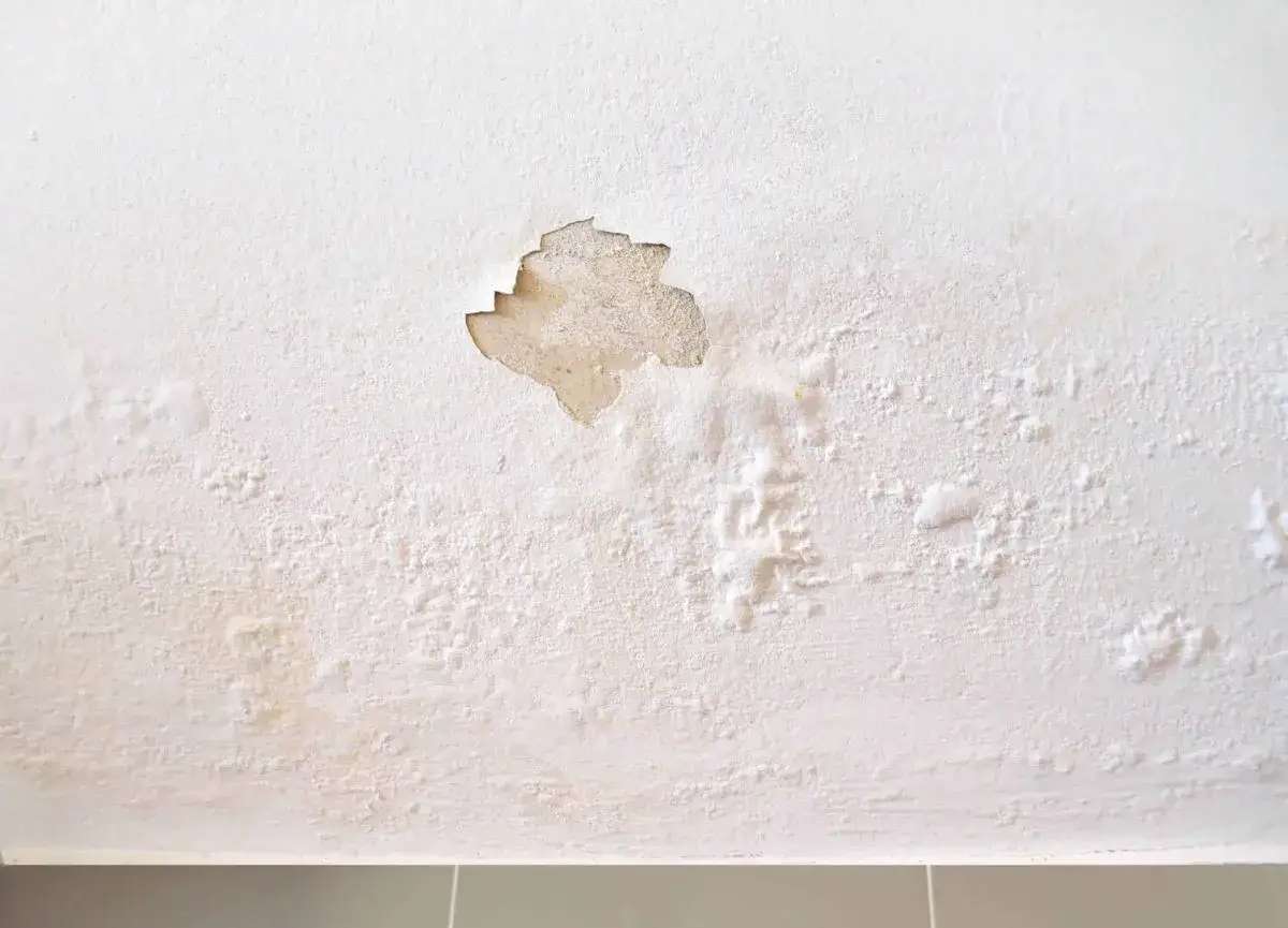 Rigonfiamento intonaco cause: macchie e distacco della pittura indicano infiltrazioni d'acqua.