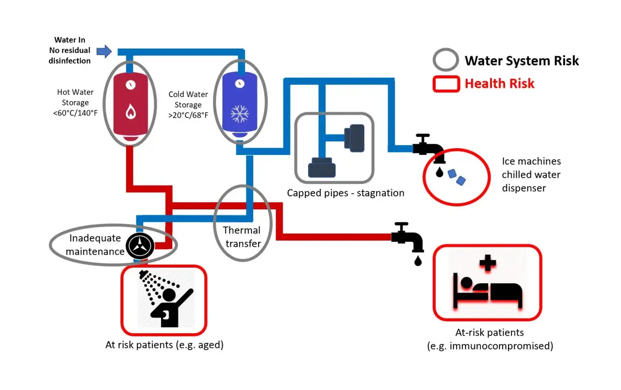Schema idrico: come prevenire la legionella in casa. Evitare ristagni, mantenere temperature adeguate e fare manutenzione per proteggere i soggetti a rischio.